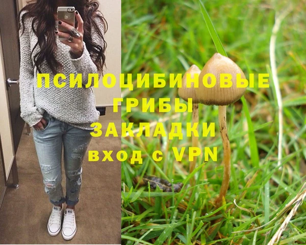 прущие грибы Алексеевка